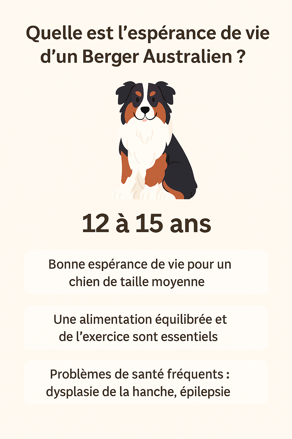 infographie l esperance de vie du berger australien