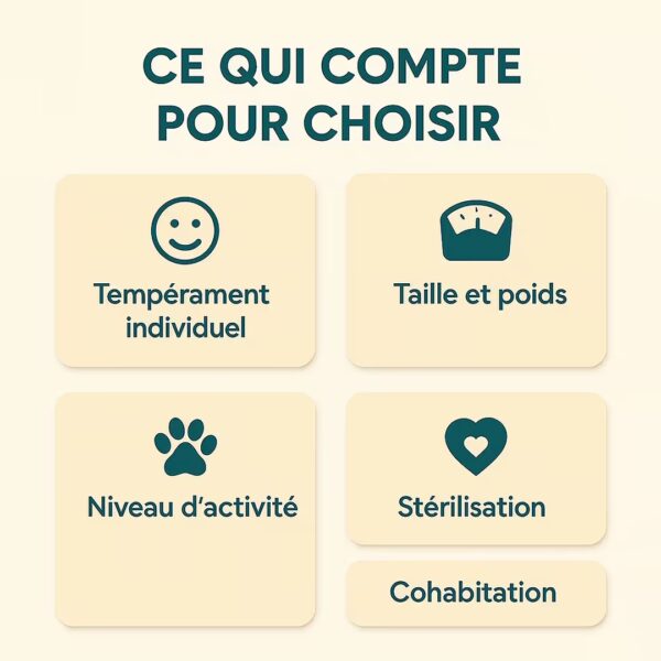 Infographie française “Ce qui compte pour choisir” avec 5 cartes : tempérament, taille et poids, niveau d’activité, stérilisation, cohabitation